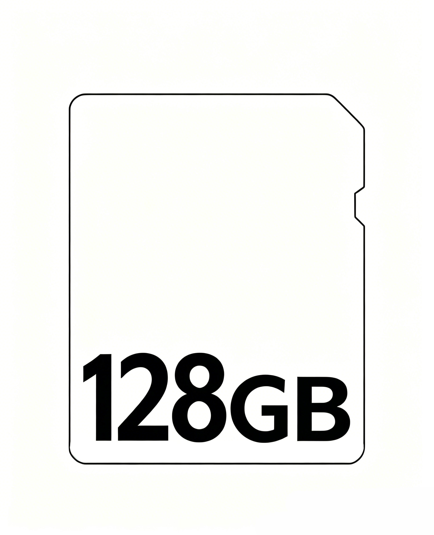 Xega Security Camera  Memory Card-64G/128G, UHS-I Flash SD Card, High Speed Up to 100MB/s, Class 10, U3, V30, A1, EXFAT TF Card.